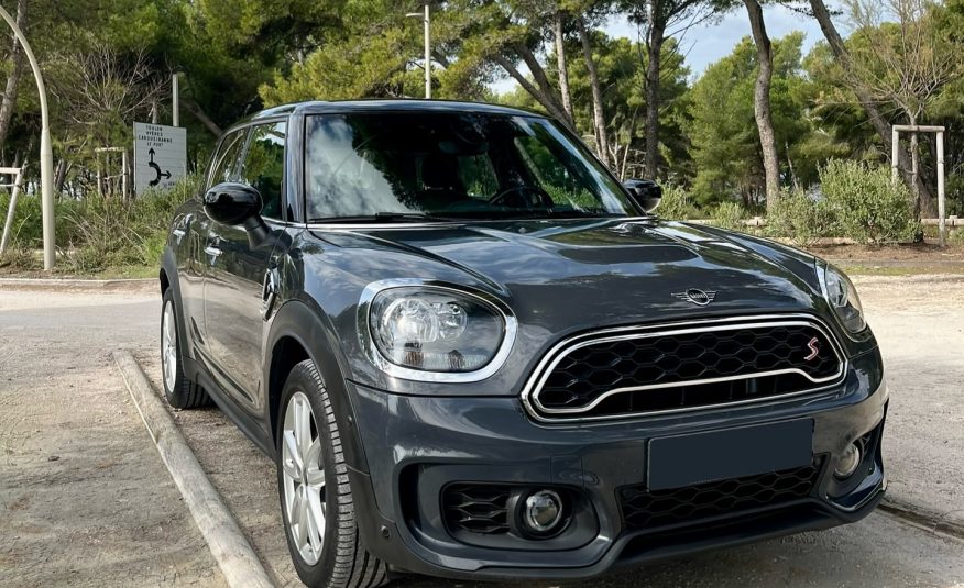 Mini Countryman S
